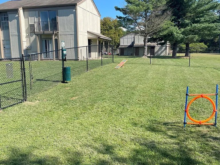 Dog Park