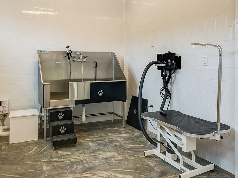 Pet spa with dog washing station