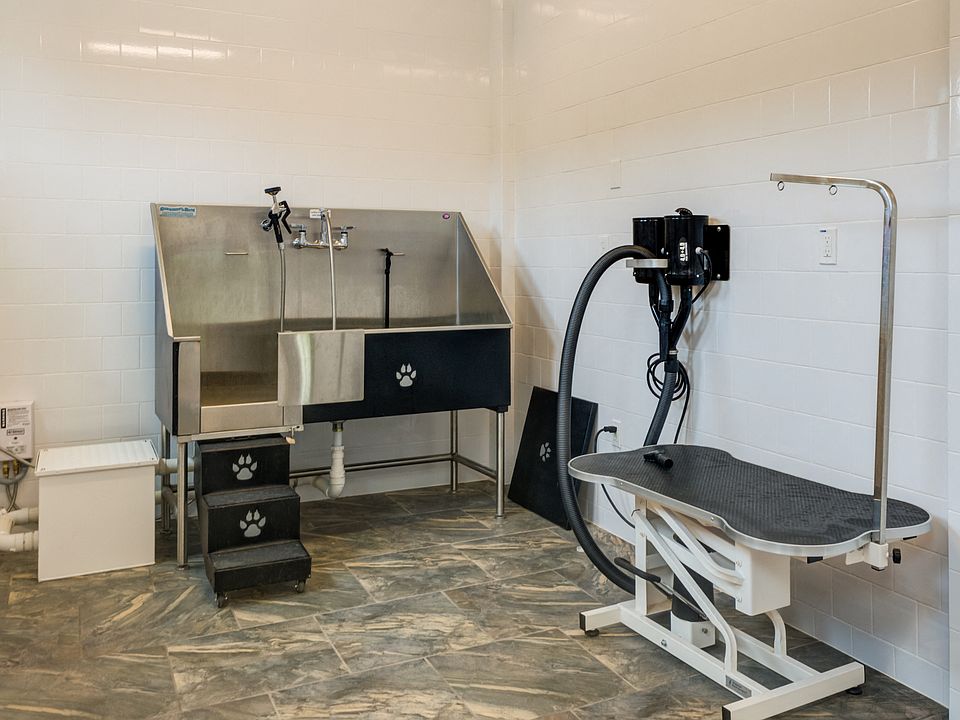 Pet spa with dog washing station