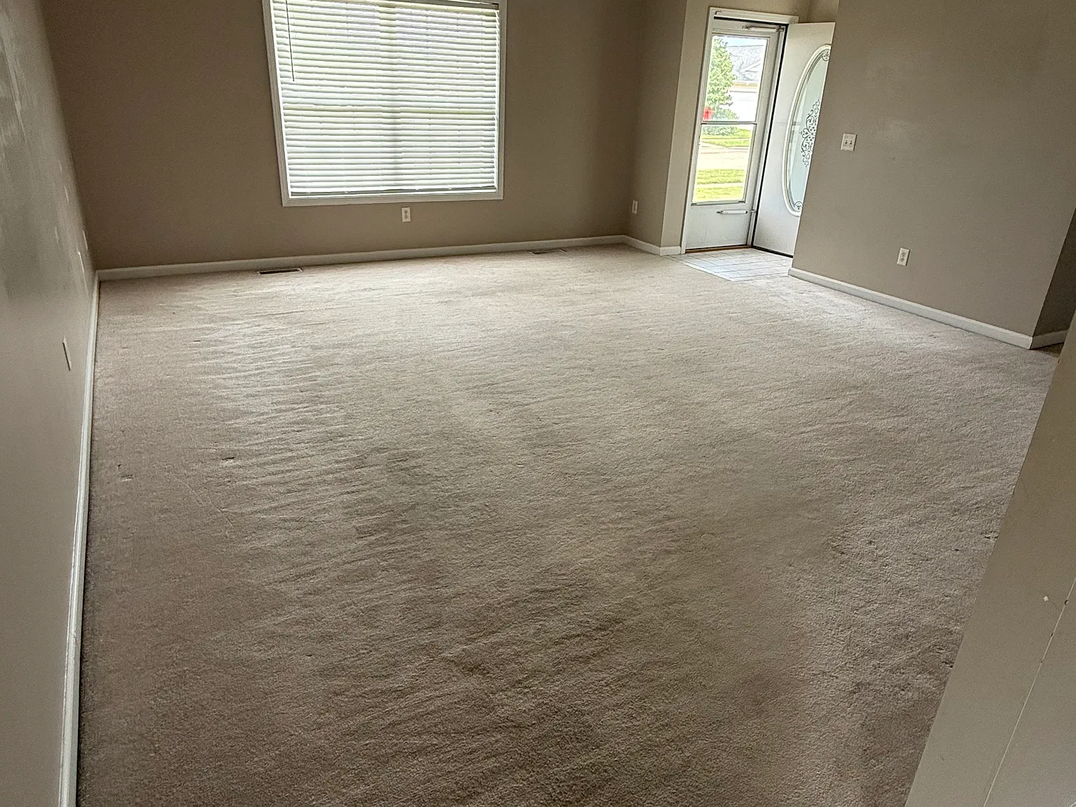 810 Cyndy Ln — Photo 4