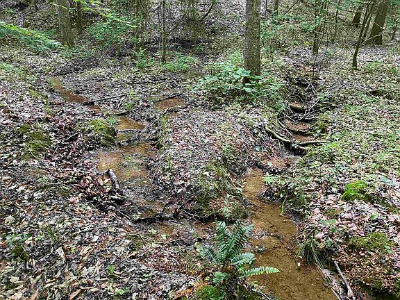 24th image of this home