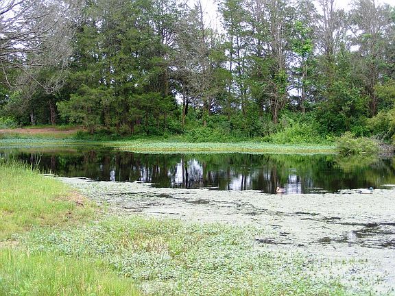 4th image of 635 County Road 4440