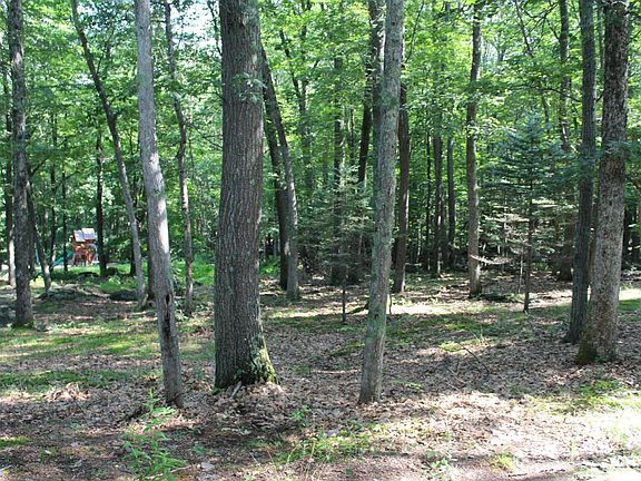REAR YARD