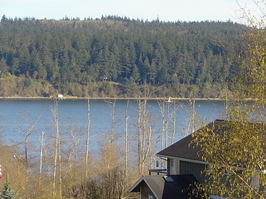 5th image of 4824 Brittney Dr