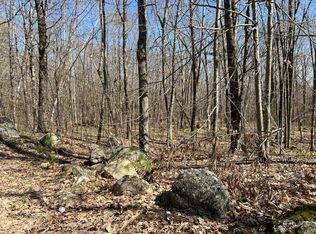 0 Cleve Tripp Rd, Poland, ME 04274