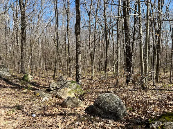 00 Cleve Tripp Road, Poland, ME 04274