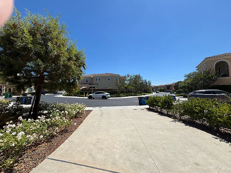 53 Molly Loop — Photo 3