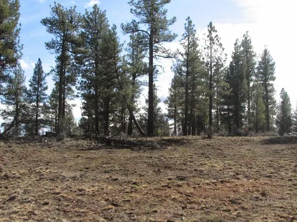 0 Canadian Honker Ln #9, Sprague River, OR 97639