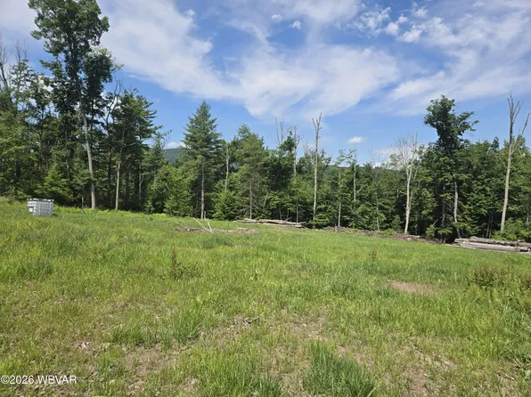 628 Hubbard Hollow Rd, Jersey Shore, PA 17740