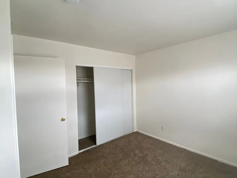 275 Star Cluster Cir — Photo 22