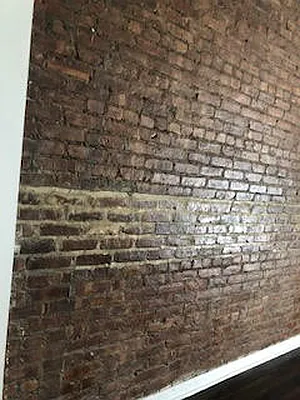 Rented by Mallory Management Corp | media 17