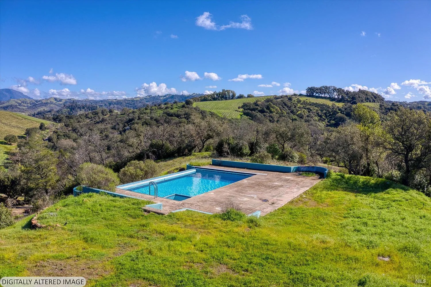 10547 - 10443 Chalk Hill Road - Photo 4