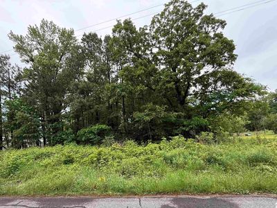 694 Green Plain Rd, Hazel, KY, 42049