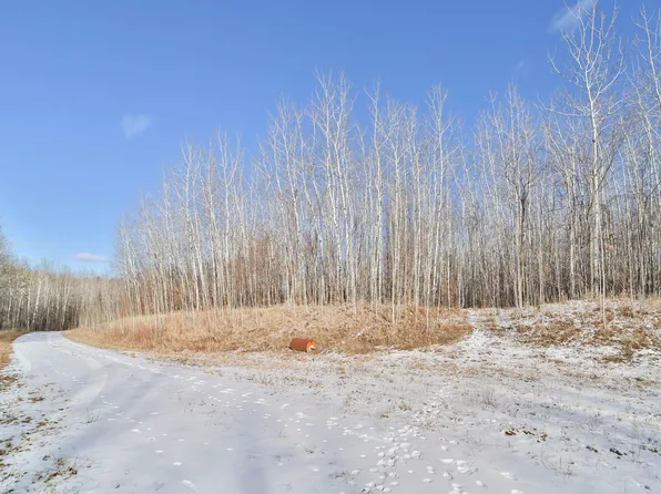 Hilltop Dr NW, Walker, MN 56484