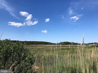 Basin Rd, Millsboro, DE 19966