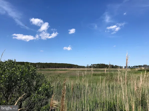 Basin Rd, Millsboro, DE 19966