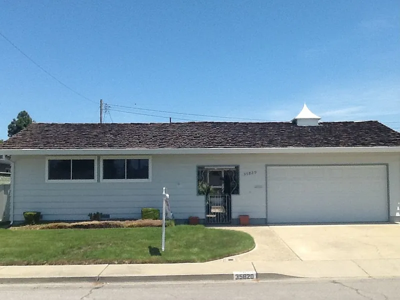 Thumbnail 19