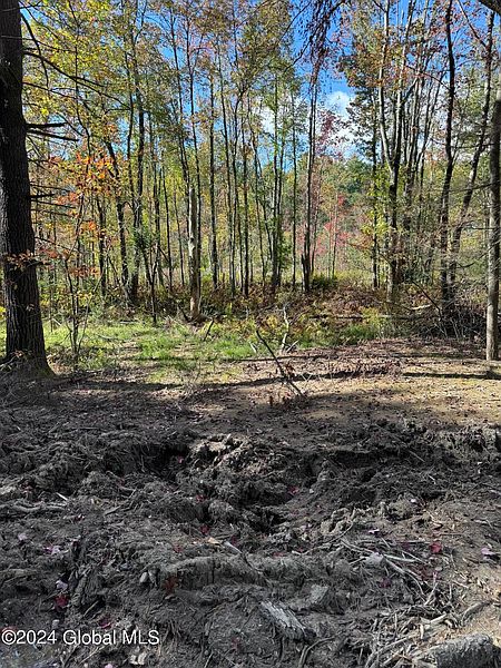 3rd image of 271 Methodist Farm Road