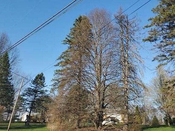 5th image of 14385 Hatfield Rd