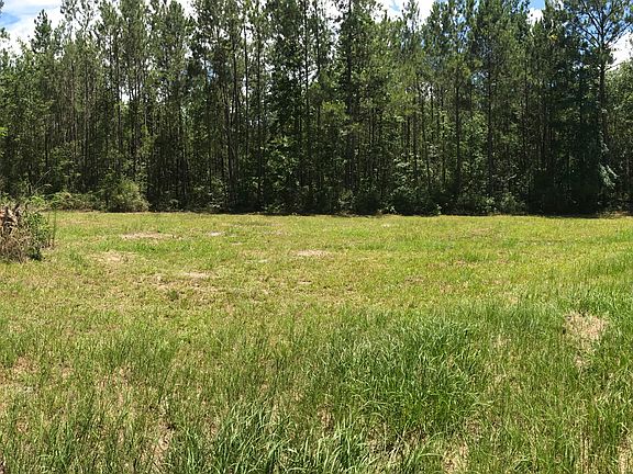 11.5 Acres of Untouched Land