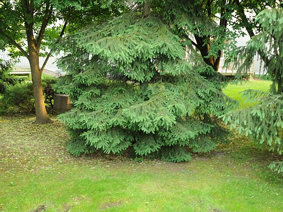4th image of 2480 Loch Creek Way