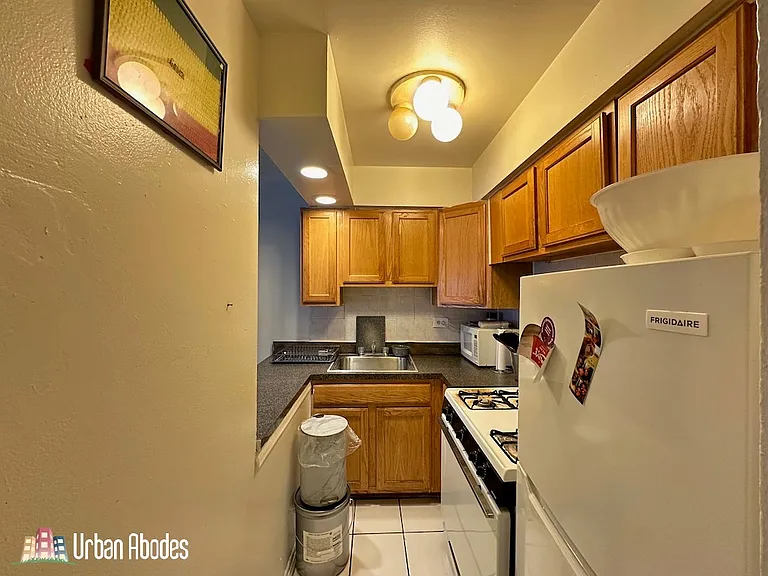 6830 N Sheridan Rd #305 — Photo 11