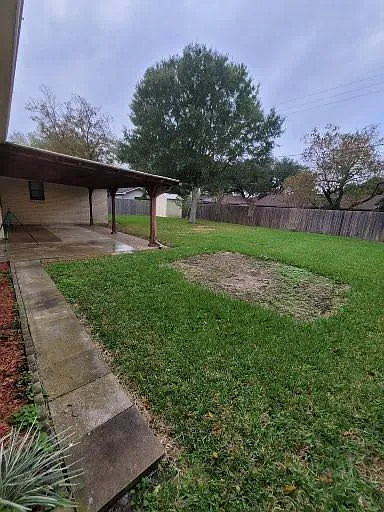 back yard