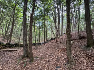 0 North St, Whately, MA, 01093