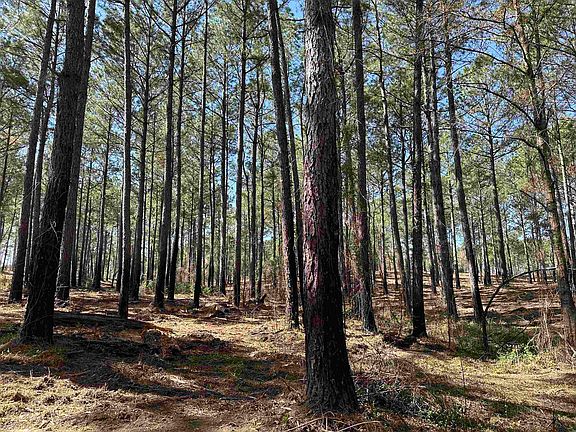 4th image of Lot 6 - TBD Old Camp Ln.