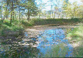 pond off kitchen