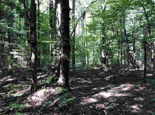 4620 N Ayr Rd, Alanson, MI 49706