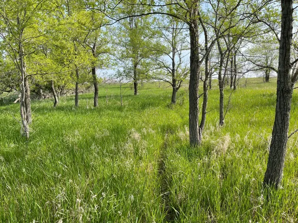 Highway 29 S, Montevideo, MN 56265