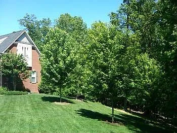 8400 Sego Lily Ct photo 1