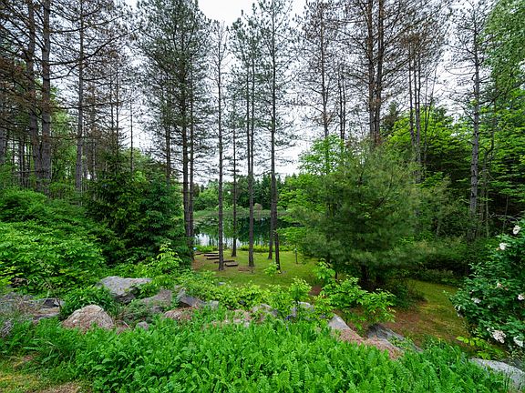 Pond/view from back of house