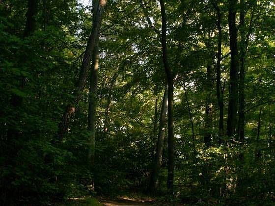 1st image of 6189 County Road 102