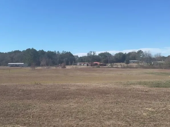 0 Christmas Rd, Ashford, AL 36312