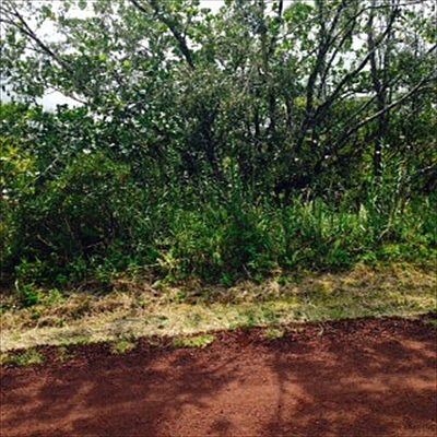 4th image of 3rd Ave Lot 2643