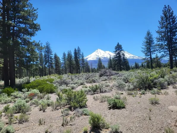 A #12, Montague, CA 96064