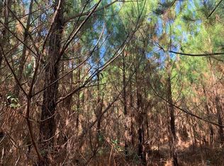 2964 Coldwater Church Rd SE, Meadville, MS 39653