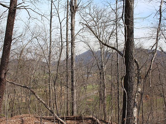 4th image of LOT-86A Licklog Rdg