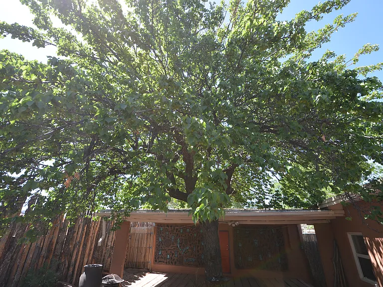 303 Villeros St — Photo 58