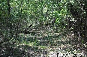 4th image of Tbd Fm 2412