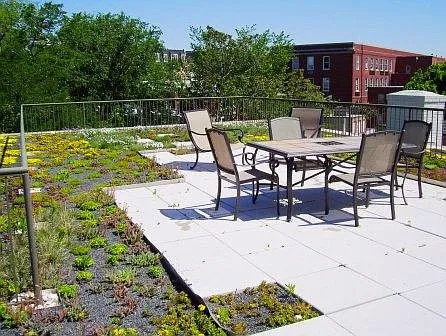 Green Roof Deck with NEW GAS GRILL!