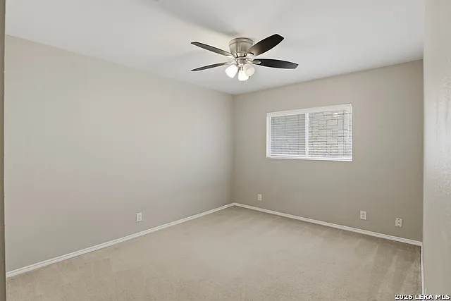 25537 Gold Yarrow — Photo 11