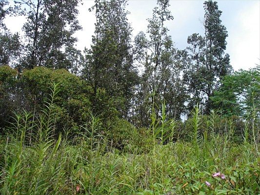 1st image of Tree Fern Dr Lot 38
