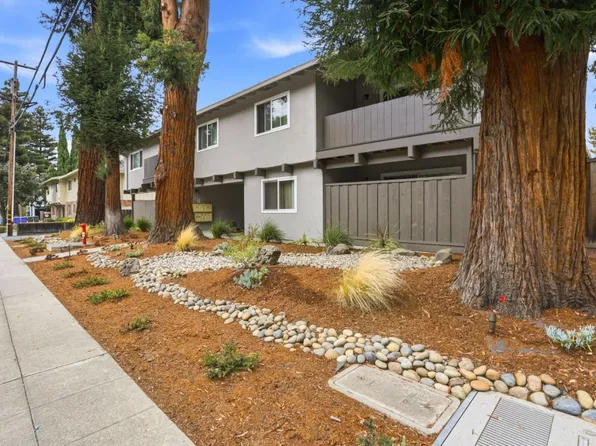 Easy Mountainview, Mountain View, CA 94043