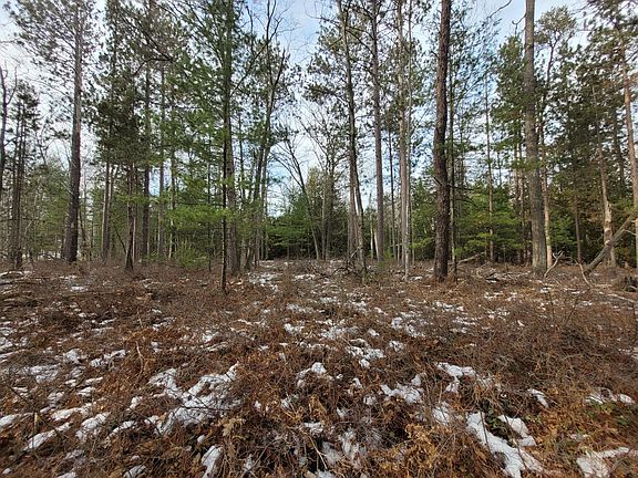 3rd image of Chippewa Trl