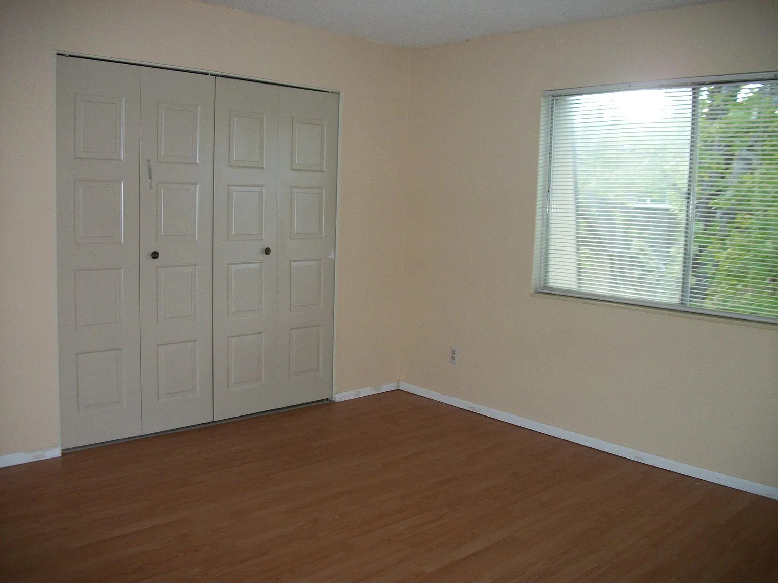 1 bed, 800 sqft, $1,500 — Photo 3