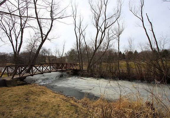 View of pond & park