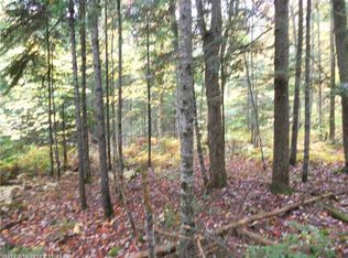85 Millett Mallett Rd, Lincoln, ME 04457